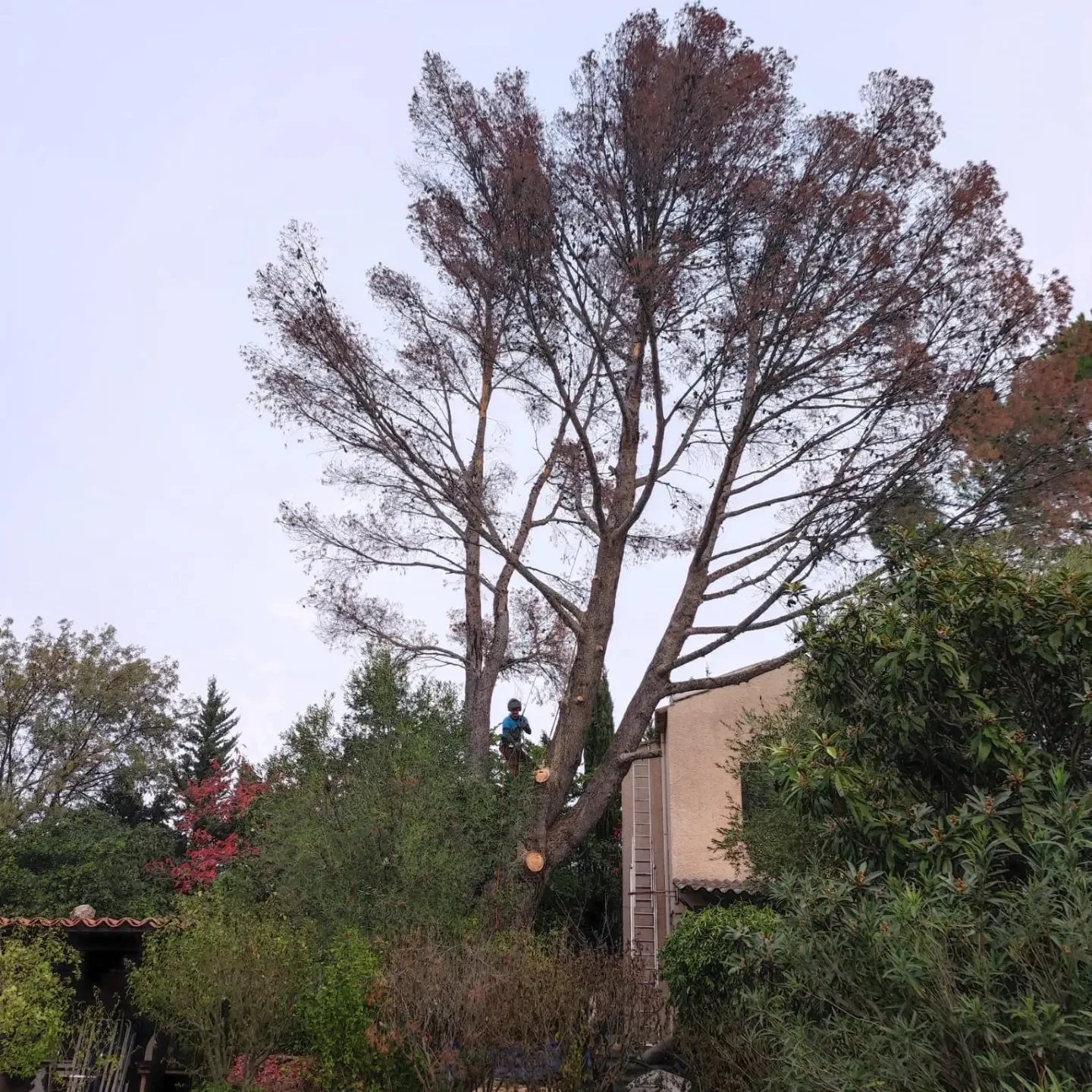 Photo de chantier LEJ — 06/06/2023 — 1